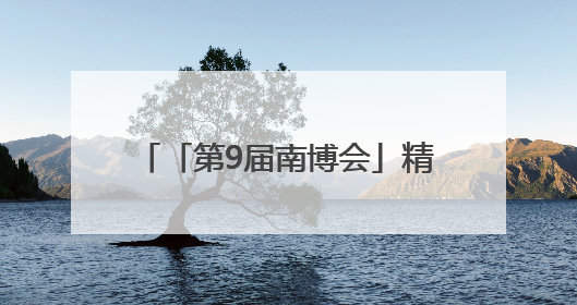 「第9届南博会」精雕小细节共谋大发展