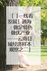 「一线看发展」通海：做足特色 做优产业——云南县域经济样本观察之二