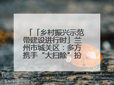 「乡村振兴示范带建设进行时」兰州市城关区：多方携手“大扫除”扮靓乡村“颜值”