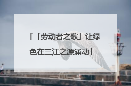 「劳动者之歌」让绿色在三江之源涌动