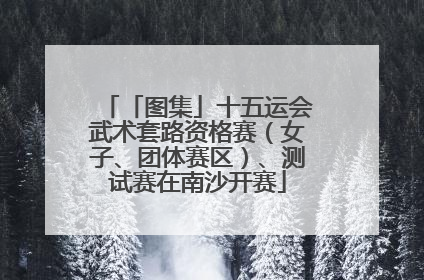 「图集」十五运会武术套路资格赛（女子、团体赛区）、测试赛在南沙开赛