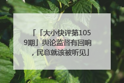 「大小快评第1059期」舆论监督有回响，民意就该被听见