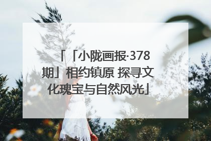 「小陇画报·378期」相约镇原 探寻文化瑰宝与自然风光