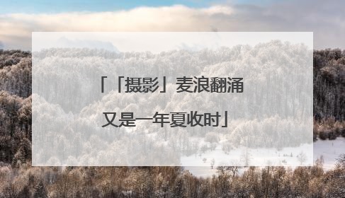「摄影」麦浪翻涌 又是一年夏收时
