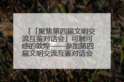 「聚焦第四届文明交流互鉴对话会」可触可感的敦煌——参加第四届文明交流互鉴对话会的外宾参观上元市集