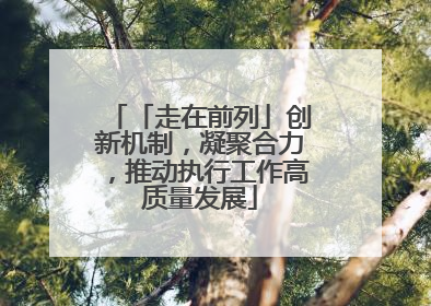 「走在前列」创新机制，凝聚合力，推动执行工作高质量发展