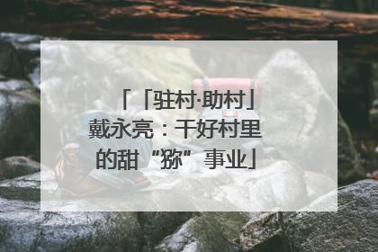 「驻村·助村」戴永亮：干好村里的甜“猕”事业