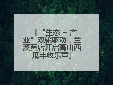 “生态 + 产业”双轮驱动，兰溪黄店开启高山西瓜丰收乐章