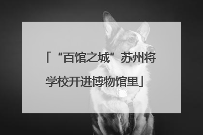 “百馆之城”苏州将学校开进博物馆里