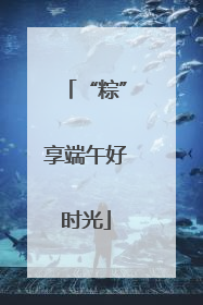 “粽”享端午好时光