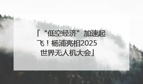 “低空经济”加速起飞！杨浦亮相2025世界无人机大会