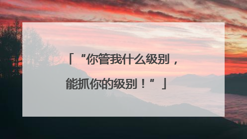 “你管我什么级别，能抓你的级别！”