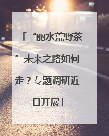 “丽水荒野茶”未来之路如何走？专题调研近日开展