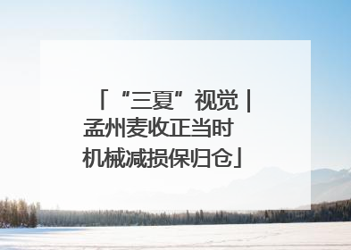 “三夏”视觉｜孟州麦收正当时 机械减损保归仓