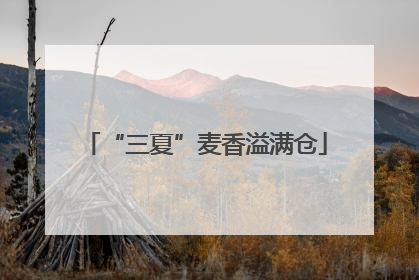 “三夏”麦香溢满仓
