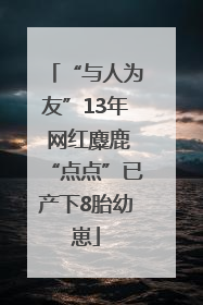 “与人为友”13年 网红麋鹿“点点”已产下8胎幼崽