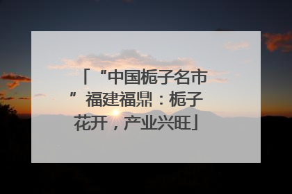 “中国栀子名市”福建福鼎：栀子花开，产业兴旺