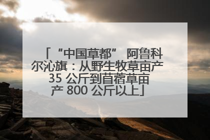 “中国草都” 阿鲁科尔沁旗：从野生牧草亩产 35 公斤到苜蓿草亩产 800 公斤以上
