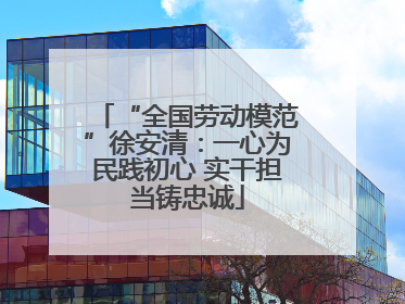 “全国劳动模范”徐安清：一心为民践初心 实干担当铸忠诚