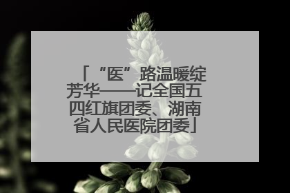 “医”路温暖绽芳华——记全国五四红旗团委、湖南省人民医院团委