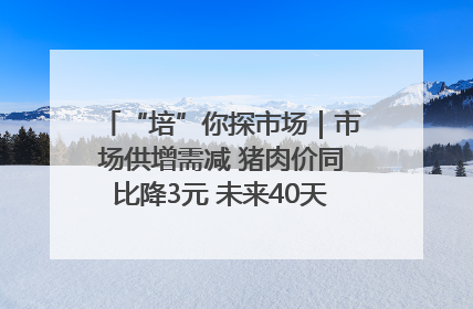 “培”你探市场｜市场供增需减 猪肉价同比降3元 未来40天便宜猪肉敞开吃