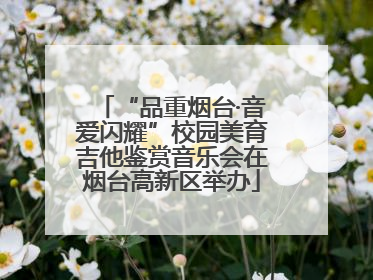 “品重烟台·音爱闪耀”校园美育吉他鉴赏音乐会在烟台高新区举办