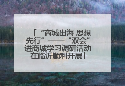 “商城出海 思想先行”——“双会”进商城学习调研活动在临沂顺利开展