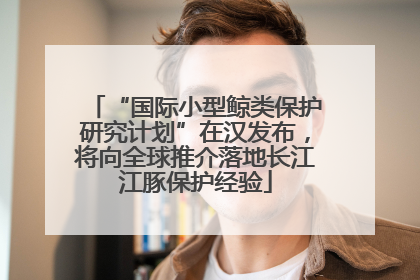 “国际小型鲸类保护研究计划”在汉发布，将向全球推介落地长江江豚保护经验