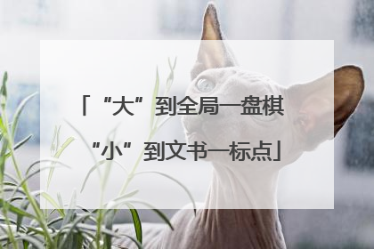 “大”到全局一盘棋 “小”到文书一标点