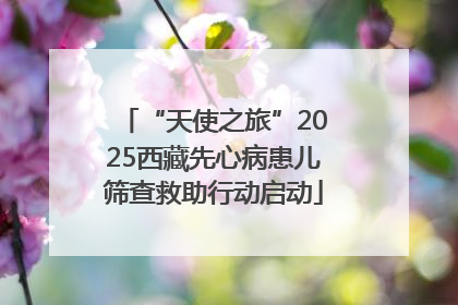 “天使之旅”2025西藏先心病患儿筛查救助行动启动