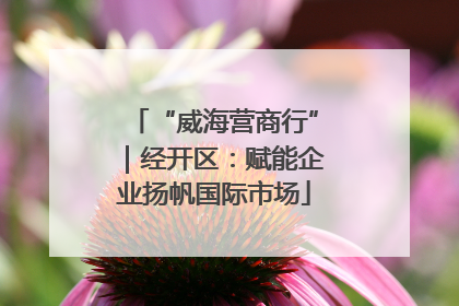 “威海营商行”｜经开区：赋能企业扬帆国际市场