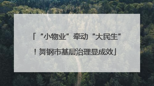 “小物业”牵动“大民生”！舞钢市基层治理显成效