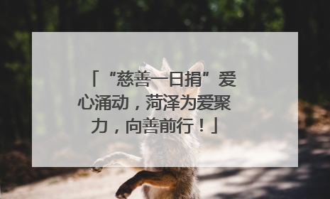 “慈善一日捐”爱心涌动，菏泽为爱聚力，向善前行！