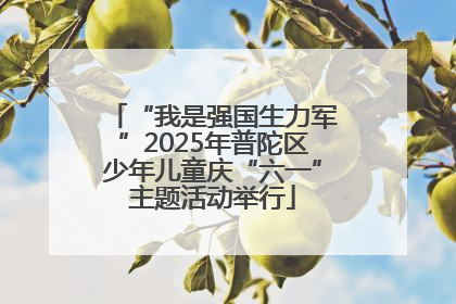 “我是强国生力军”2025年普陀区少年儿童庆“六一”主题活动举行