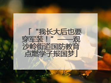 “我长大后也要穿军装！”——观沙岭街道国防教育点燃学子报国梦