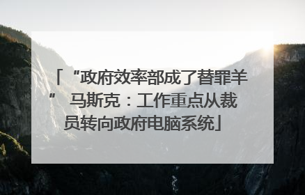 “政府效率部成了替罪羊” 马斯克：工作重点从裁员转向政府电脑系统
