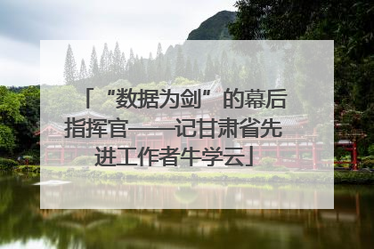 “数据为剑”的幕后指挥官——记甘肃省先进工作者牛学云