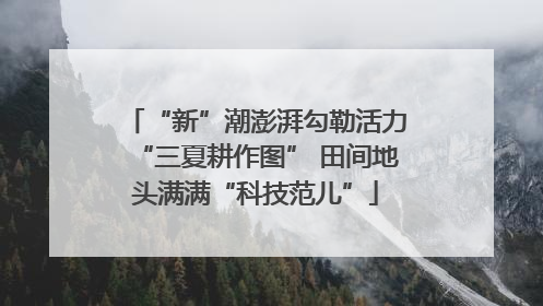 “新”潮澎湃勾勒活力“三夏耕作图” 田间地头满满“科技范儿”