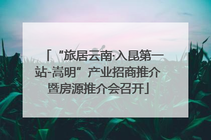 “旅居云南·入昆第一站-嵩明”产业招商推介暨房源推介会召开