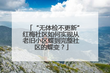 “无体检不更新”红梅社区如何实现从老旧小区蝶到完整社区的蝶变？