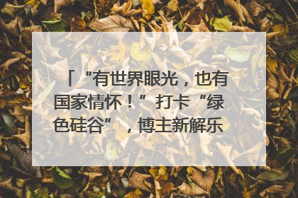 “有世界眼光，也有国家情怀！”打卡“绿色硅谷”，博主新解乐山｜网络名人四川行
