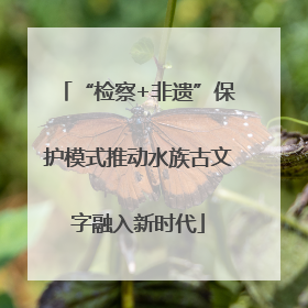 “检察+非遗”保护模式推动水族古文字融入新时代