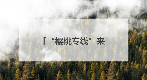 “樱桃专线”来啦！周边省份快递“次日达”，物流成本节省30%