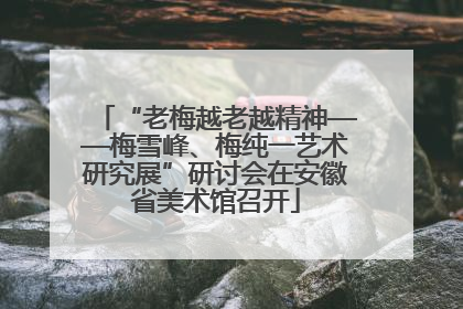 “老梅越老越精神——梅雪峰、梅纯一艺术研究展”研讨会在安徽省美术馆召开