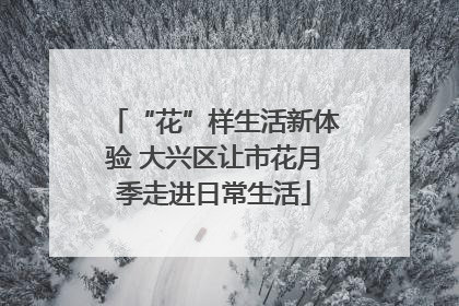 “花”样生活新体验 大兴区让市花月季走进日常生活