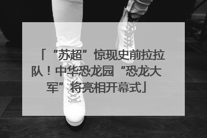 “苏超”惊现史前拉拉队！中华恐龙园“恐龙大军”将亮相开幕式