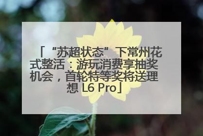 “苏超状态”下常州花式整活：游玩消费享抽奖机会，首轮特等奖将送理想 L6 Pro