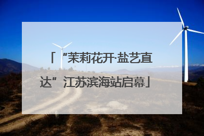 “茉莉花开·盐艺直达”江苏滨海站启幕