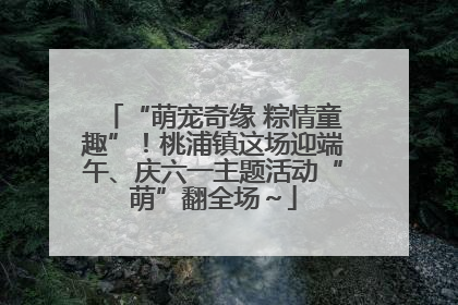 “萌宠奇缘 粽情童趣”！桃浦镇这场迎端午、庆六一主题活动“萌”翻全场～