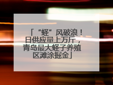 “蛏”风破浪！日供应量上万斤，青岛最大蛏子养殖区滩涂掘金